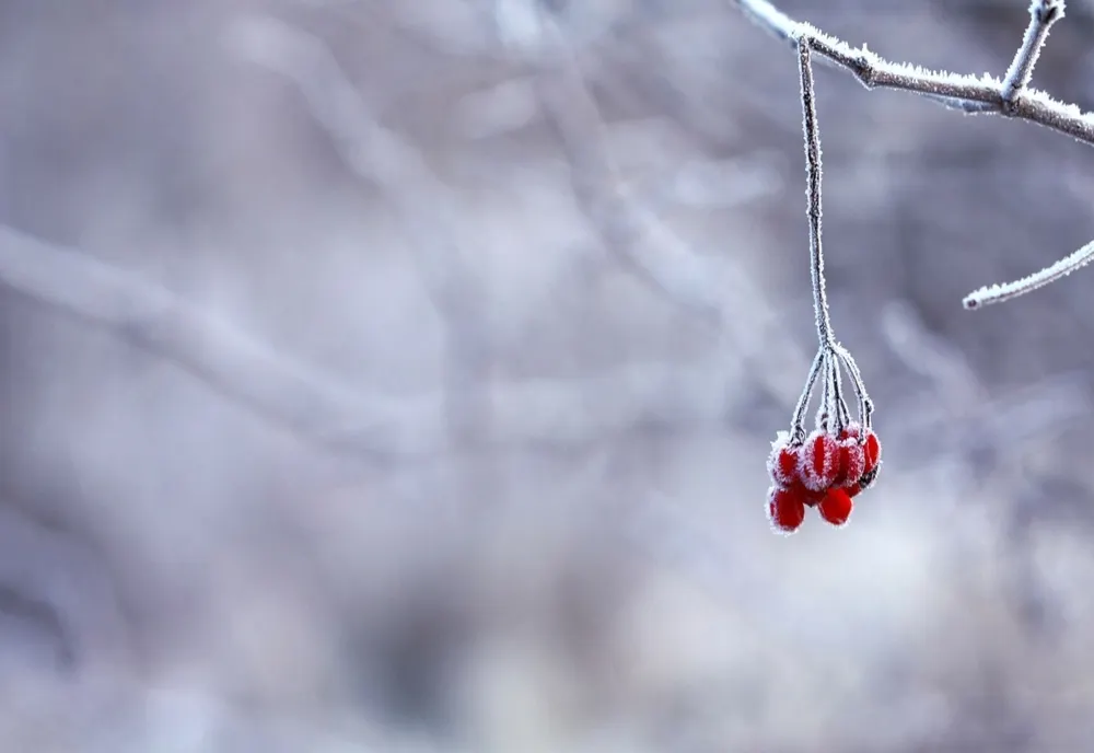 Prognoza meteo pentru următoarele patru săptămâni. Cum va fi vremea de Crăciun și de Revelion