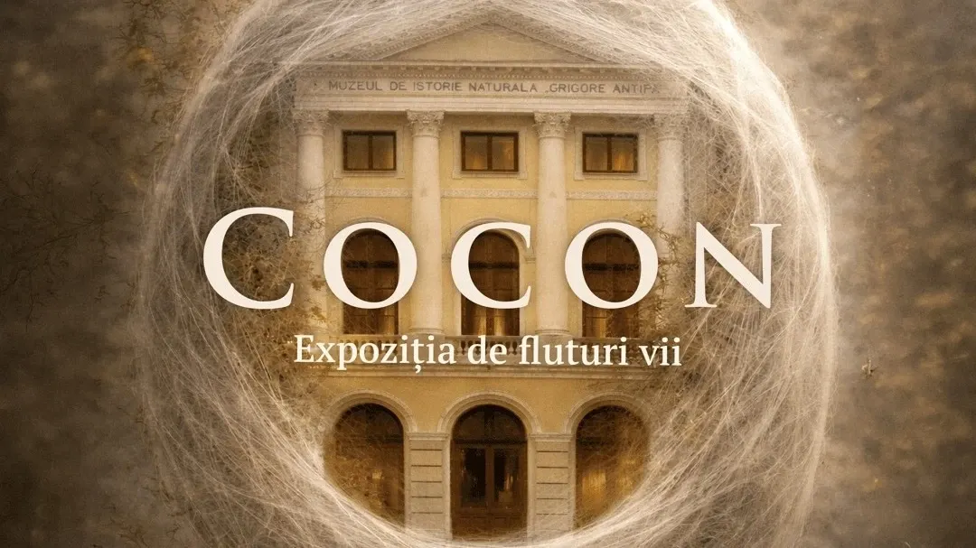 Expoziție dedicată fluturilor, la Muzeul Antipa. Când poate fi vizitată