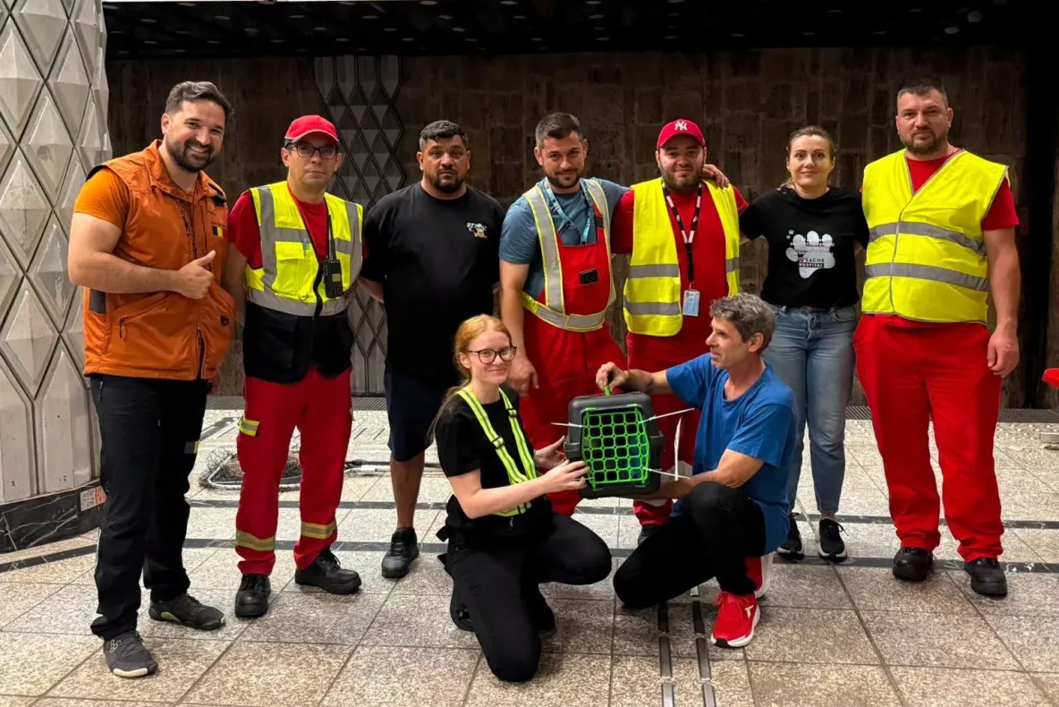 Pisica prizonieră la metrou a fost salvată: „Totul începe cu un om”