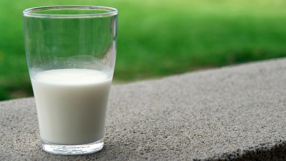 Alimentul care ar putea reduce riscul de cancer colorectal