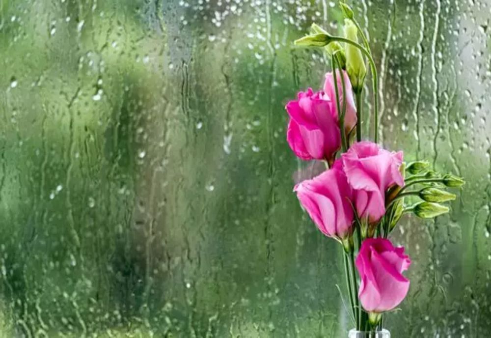 CUM VA FI VREMEA ÎN SEPTEMBRIE. PROGNOZA METEO PENTRU URMĂTOARELE PATRU SĂPTĂMÂNI