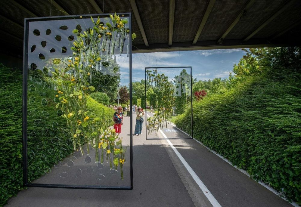 West Side Flower Fest. Care este programul la festivalul florilor din Parcul Drumul Taberei