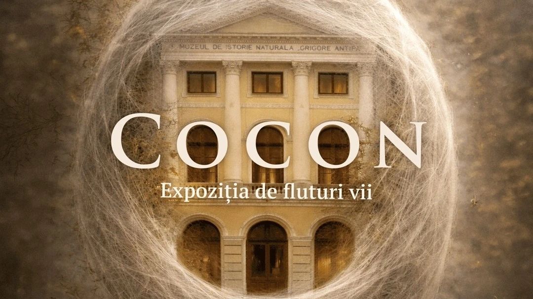 Expoziție dedicată fluturilor, la Muzeul Antipa. Când poate fi vizitată