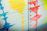 Cutremur într-o zonă neobișnuită din România. Ce magnitudine a avut seismul și unde s-a produs