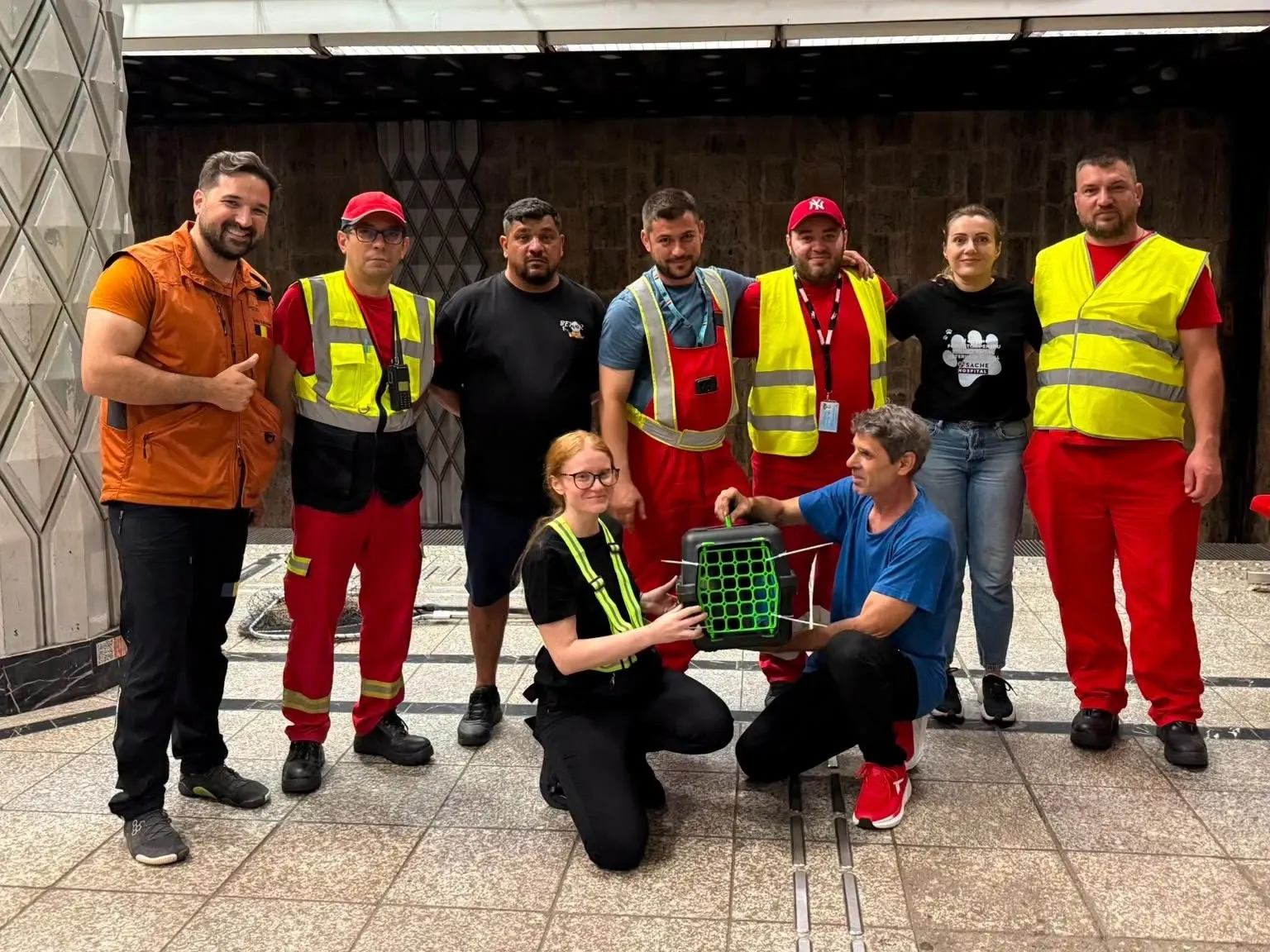 pisica de la metrou