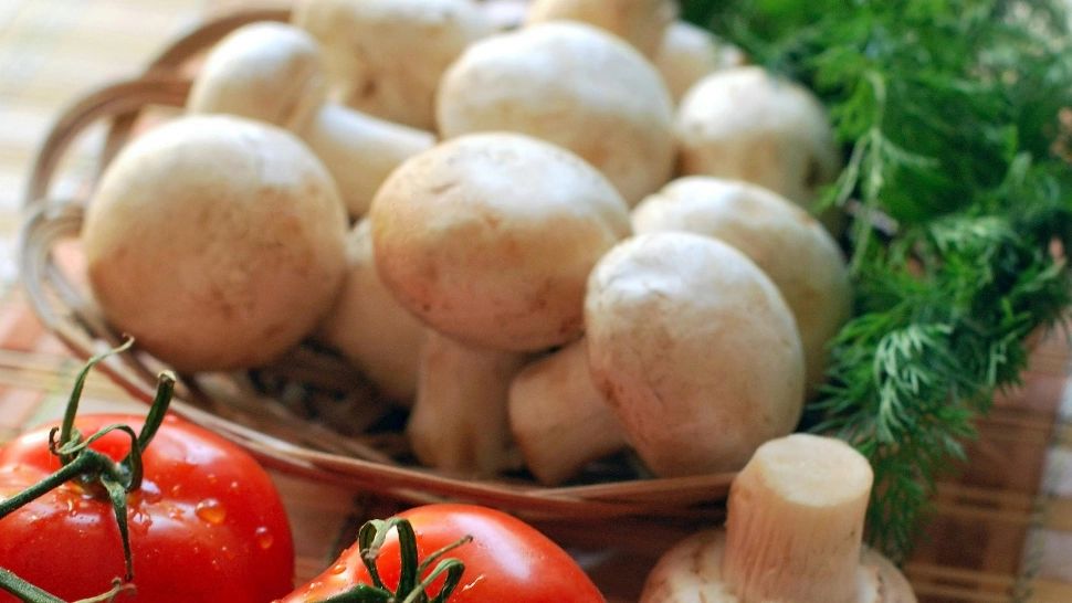 Un aspect esențial al alimentației de post este diversitatea