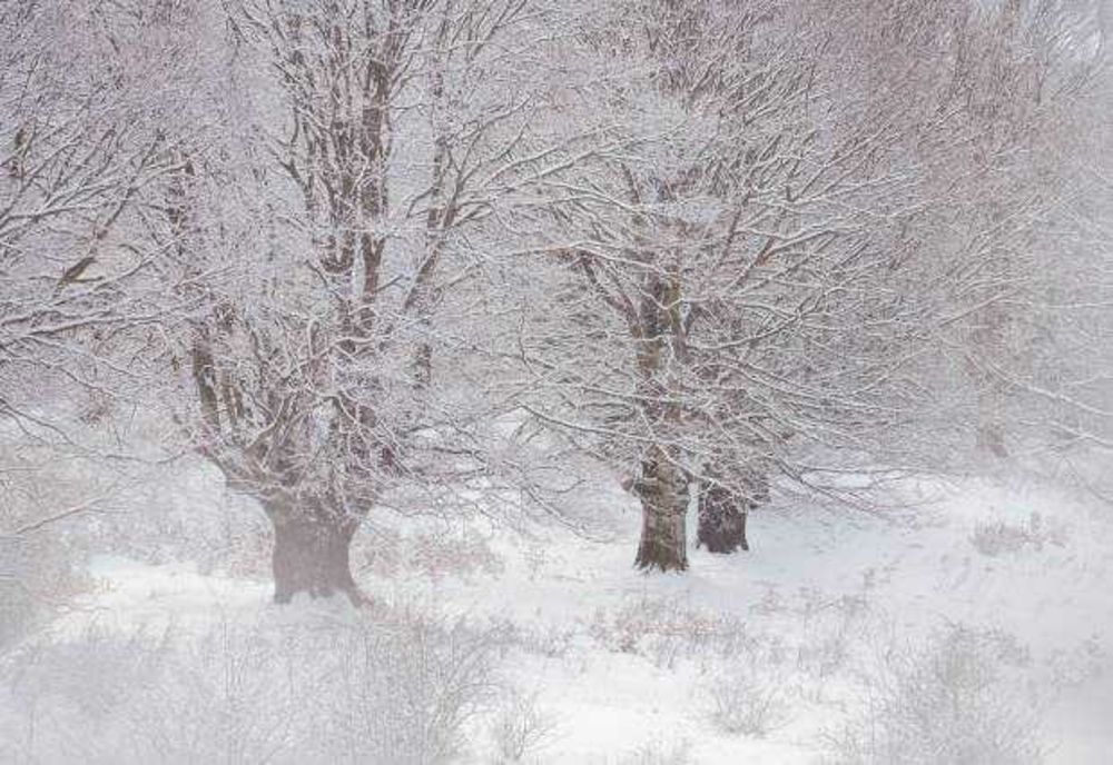 Solstițiul de iarnă 2025. Tradiții: ce nu trebuie să faci la noapte