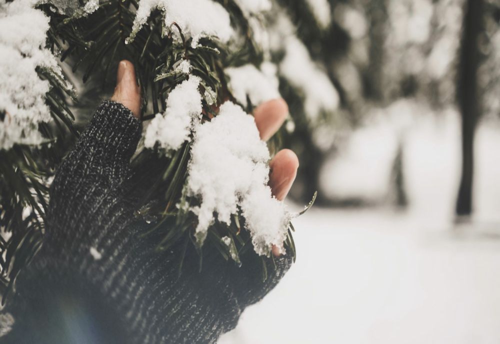 Consumul de zăpadă este periculos pentru sănătatea ta? Care sunt riscurile?