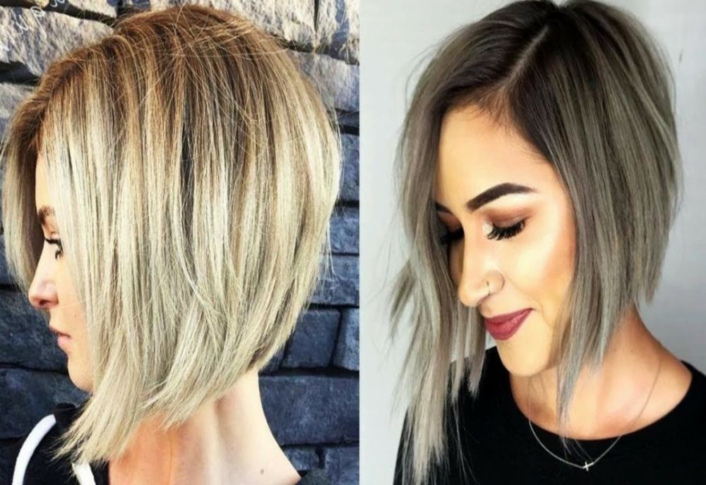 Bob mania sau marea revenire a bob-ului