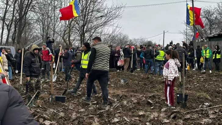 Călin Georgescu a plantat copaci, alături de numeroși români