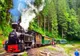 Mocănița din Apuseni își reia cursele turistice - tarife și program