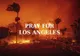 Care sunt vedetele din România prinse în incendiile apocaliptice din Los Angeles! 