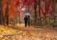 TOAMNĂ LUNGĂ, TEMPERATURI NEFIREȘTI. ANM A EMIS PROGNOZA METEO PE O LUNĂ: CUM VA FI VREMEA DE 1 DECEMBRIE