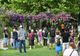 Literatura, tema celei de-a treia ediție West Side Flower Fest 