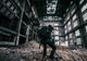 PROVOCAREA URBEX, ALT TREND PERICULOS PE TIKTOK. CE PRESUPUNE